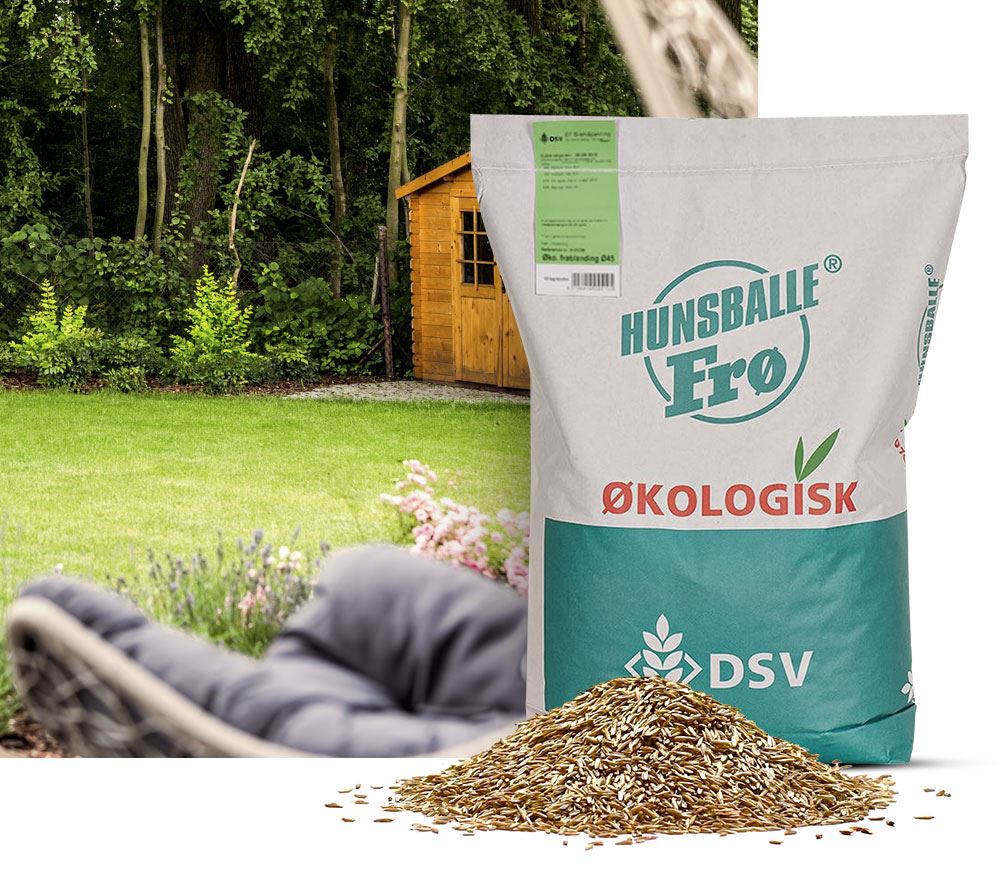 Græsfrø, økologisk 10 kg