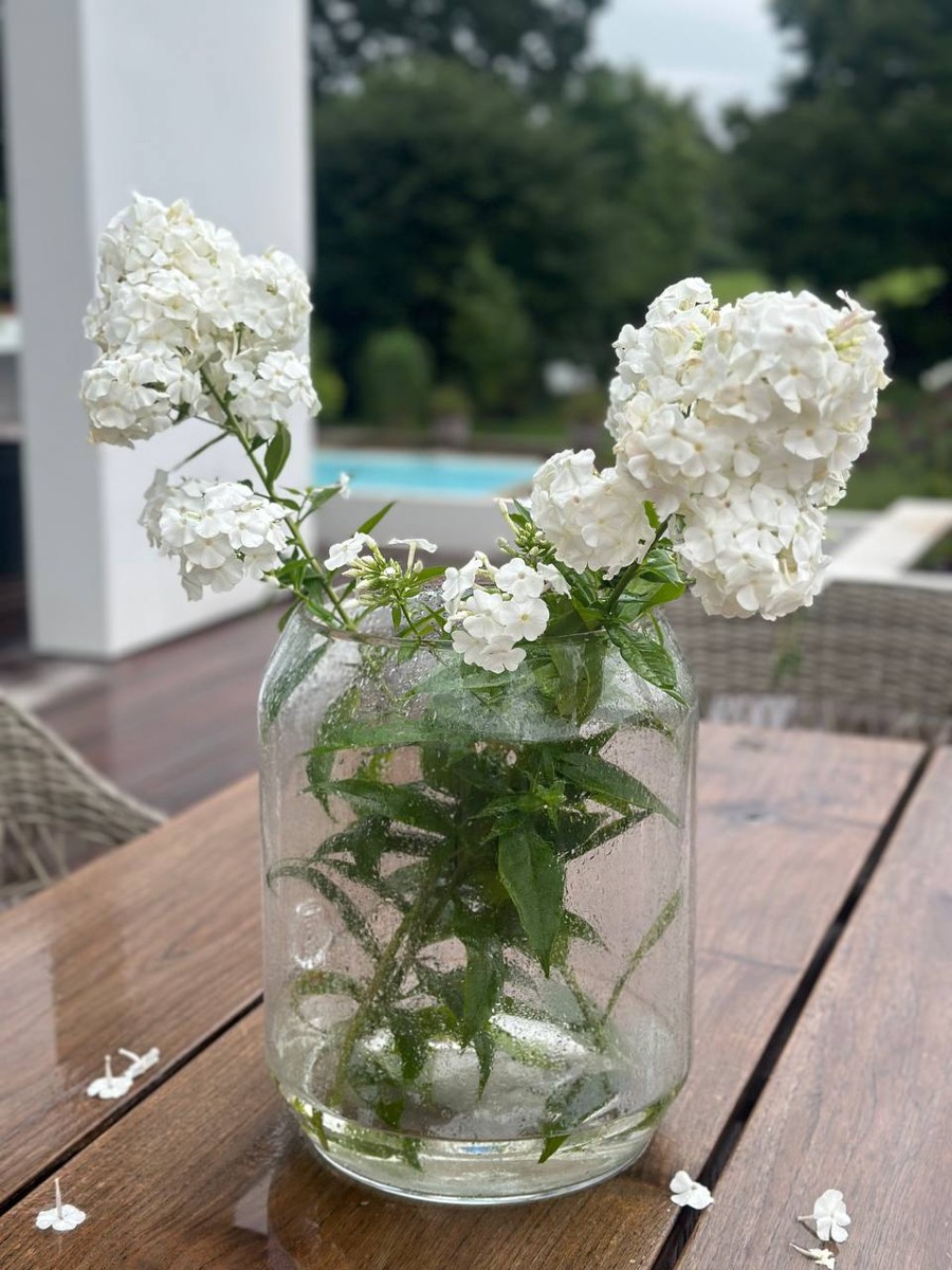 Hvid floks i et glas på havebordet