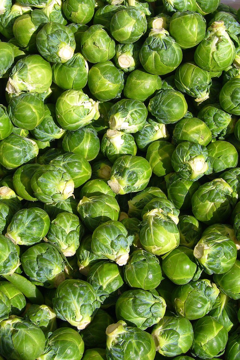 Rosenkål